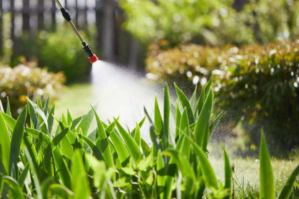 24/7 Emergency Mosquito Control experts in Dublin, GA