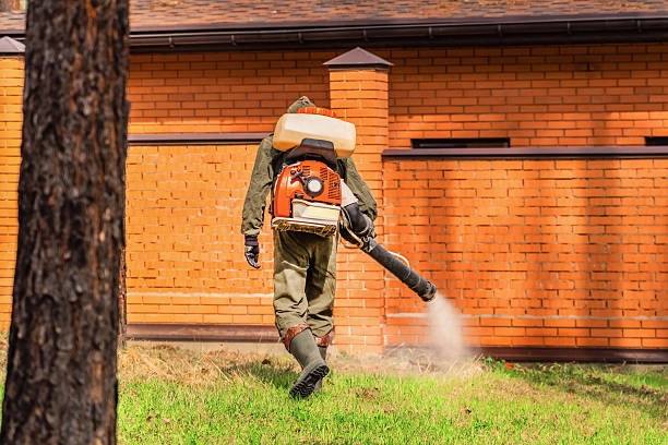 Top rated local Mosquito Control specialists in Dublin, GA